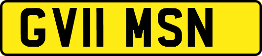 GV11MSN