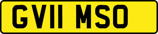 GV11MSO