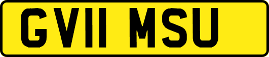 GV11MSU