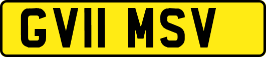 GV11MSV