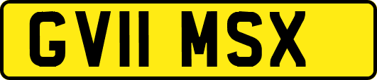 GV11MSX