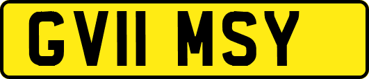 GV11MSY