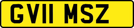 GV11MSZ