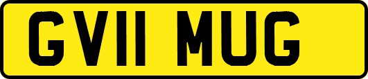 GV11MUG