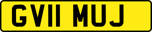 GV11MUJ