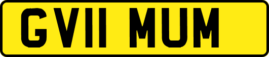 GV11MUM