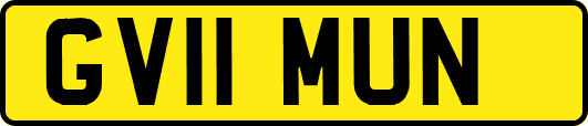 GV11MUN