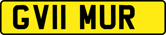 GV11MUR