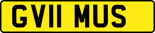 GV11MUS