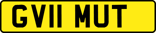GV11MUT