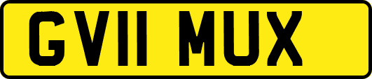 GV11MUX