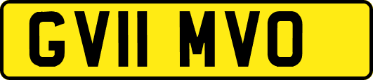 GV11MVO