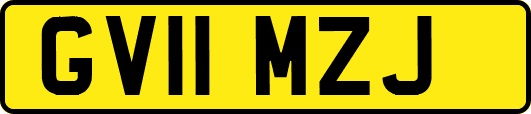 GV11MZJ