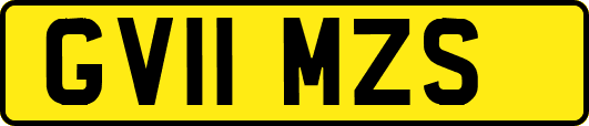 GV11MZS