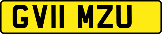 GV11MZU