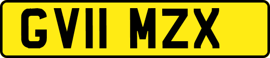 GV11MZX