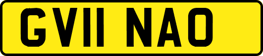GV11NAO