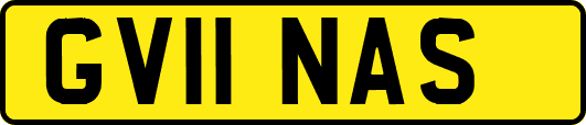 GV11NAS