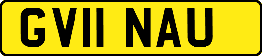 GV11NAU