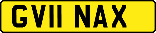 GV11NAX