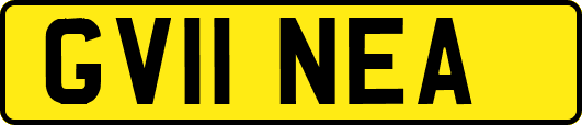 GV11NEA