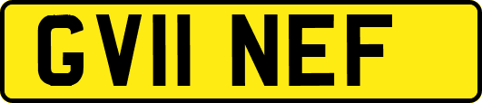 GV11NEF