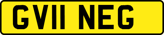 GV11NEG