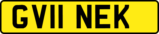 GV11NEK