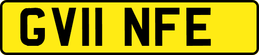 GV11NFE