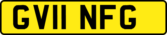 GV11NFG