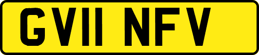 GV11NFV
