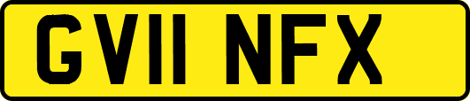 GV11NFX