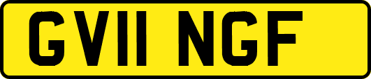 GV11NGF