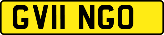 GV11NGO