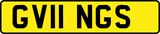 GV11NGS