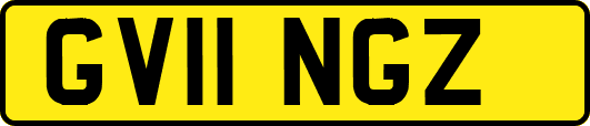 GV11NGZ