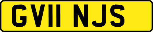 GV11NJS