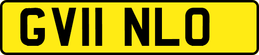 GV11NLO