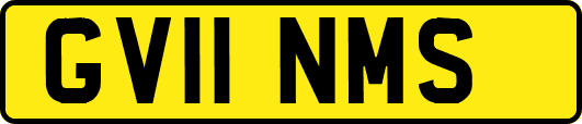 GV11NMS