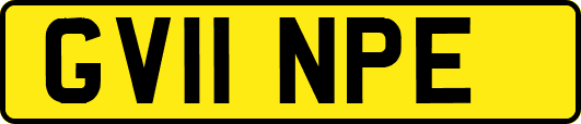 GV11NPE