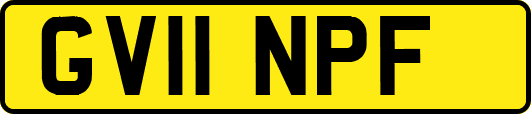 GV11NPF