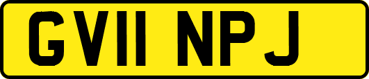 GV11NPJ