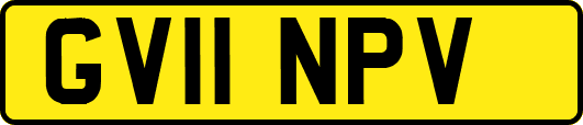 GV11NPV