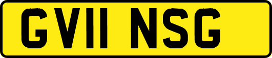 GV11NSG