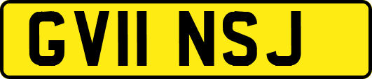 GV11NSJ