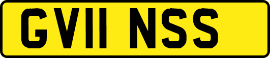 GV11NSS