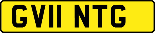 GV11NTG