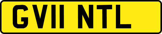 GV11NTL