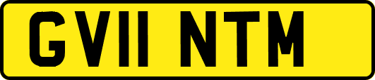 GV11NTM