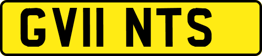 GV11NTS
